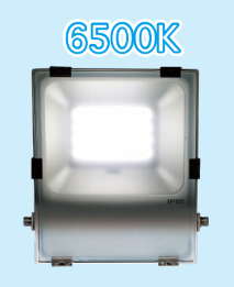 LED30W