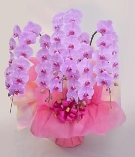 スワロフスキー 蘭の花　オーキッドピンク 200287 スワロフスキー 蘭の花 オーキッドピンク 200287 SWAROVSKI