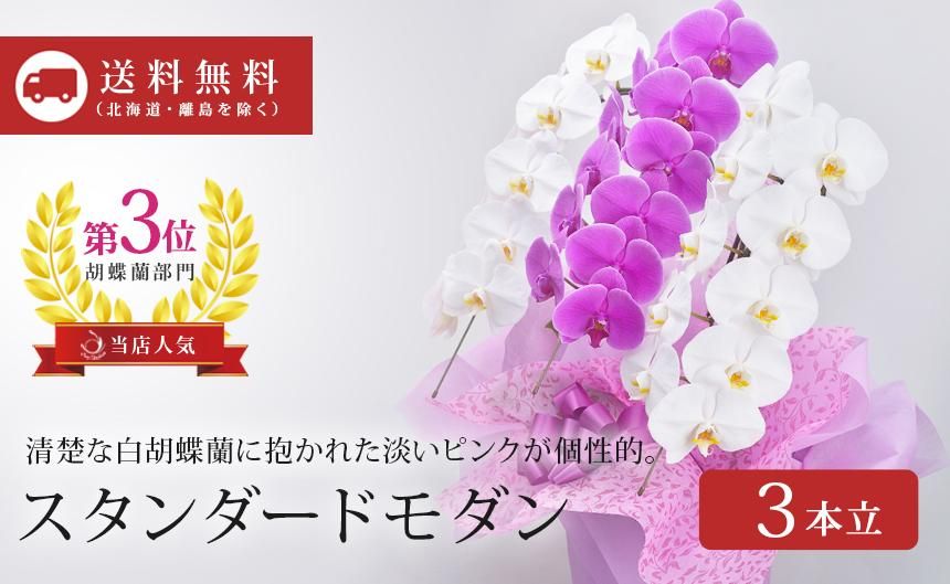 胡蝶蘭　しのえくら様お取置き専用 生産者 直販》 胡蝶蘭のギフトと通販のことなら奈良のサン