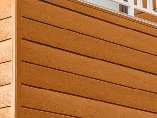 ѿSerengeti Orange/󥲥åƥ
