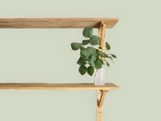 内部用水性　Whitish Sage Green/ホワイティッシュセージグリーン