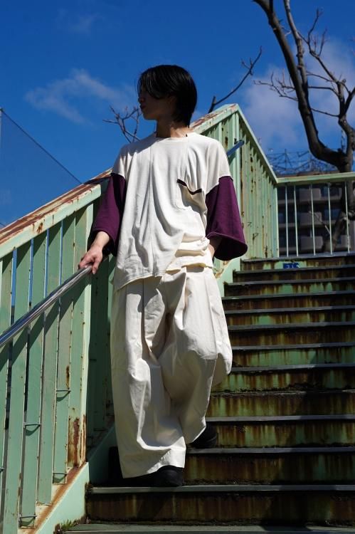 <SHINYAKOZUKA> BAGGY (Snow) - バギー 20SS SHINYAKOZUKA(シンヤコズカ)のBAGGY FOR PALETTE art alive SNOW