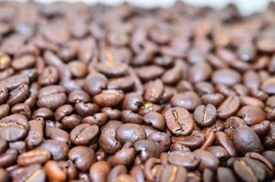 139 Kenya Gathaiti AA Washed ケニア ガタイティ AA ウォッシュ