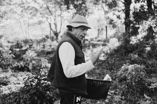 コスタリカ、ブラジル、ミャンマー３点セット コスタリカ、ブラジル、ミャンマー3点セット コスタリカ