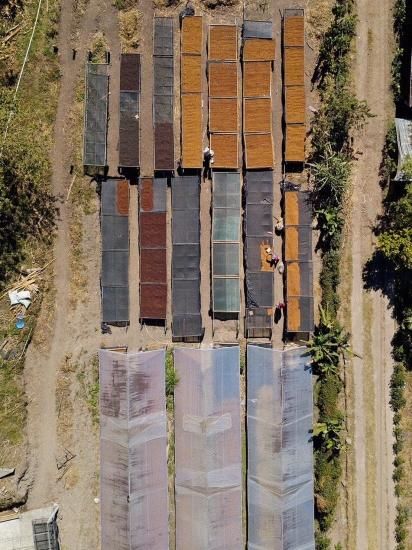 コスタリカ、ブラジル、ミャンマー３点セット コスタリカ、ブラジル、ミャンマー3点セット コスタリカ