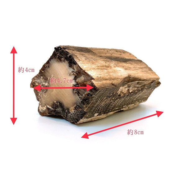 残りわずか 国産鉱物 珪化木 木の化石 出雲石 国産鉱物) 蛋白石