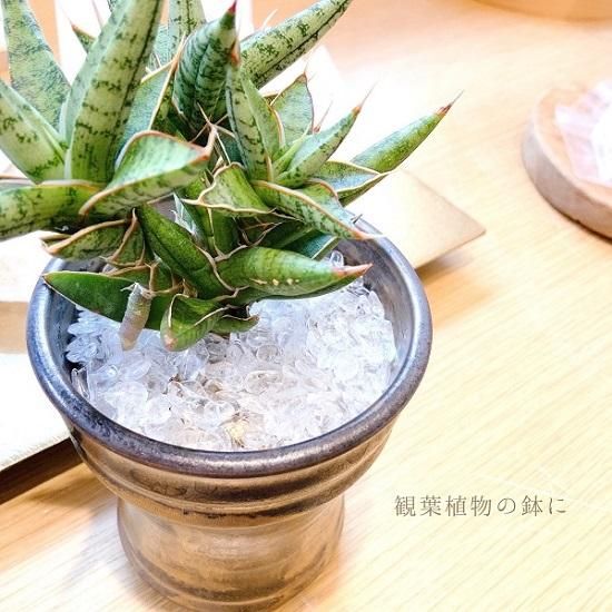 浄化セット - 水晶とホワイトセージ - 】 クリスタル crystal