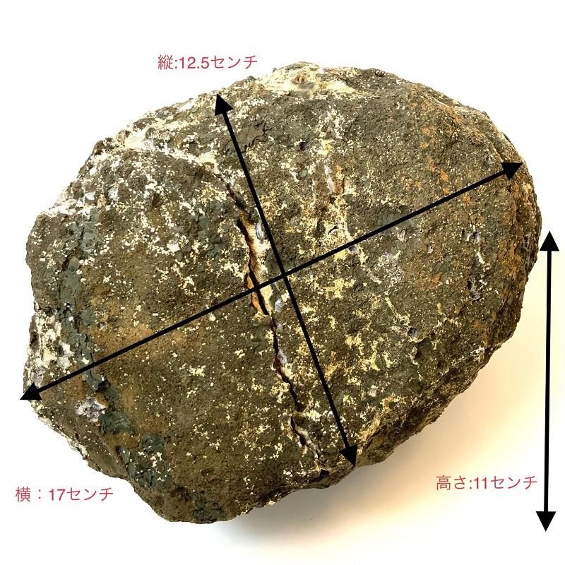 アメジスト ジオード モロッコ産 】 晶洞 geode 紫水晶 開運