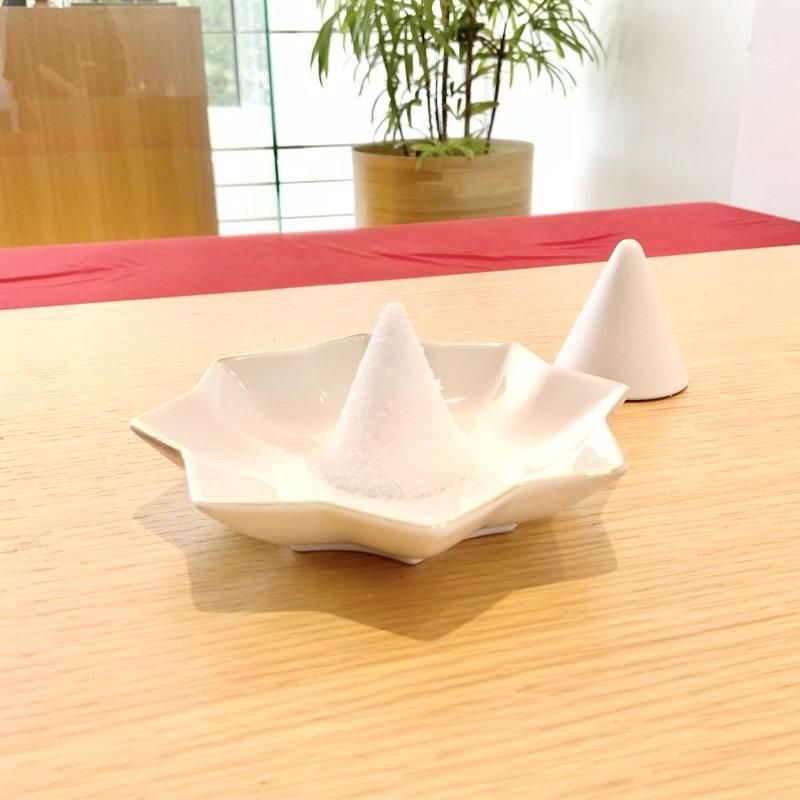 【人気商品！】 開運・浄化】 2枚 八角皿大 盛り塩用 軟らかい ＊271 その他