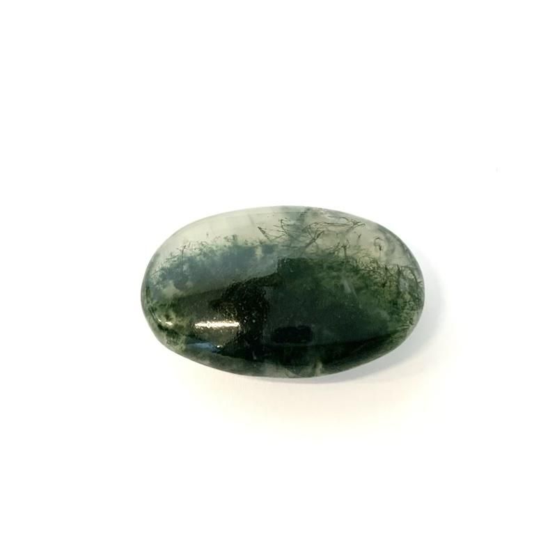  ݤΤ SV925 α  Τ ⥹   Υ  agate  ŷ   ѥȡ Ӥɤ ʪ  ʪ       