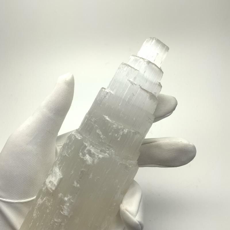 廃盤❗️パワーベイト❗️ Amazon.co.jp: Berkley (バークレー) サビキー 1.8インチ