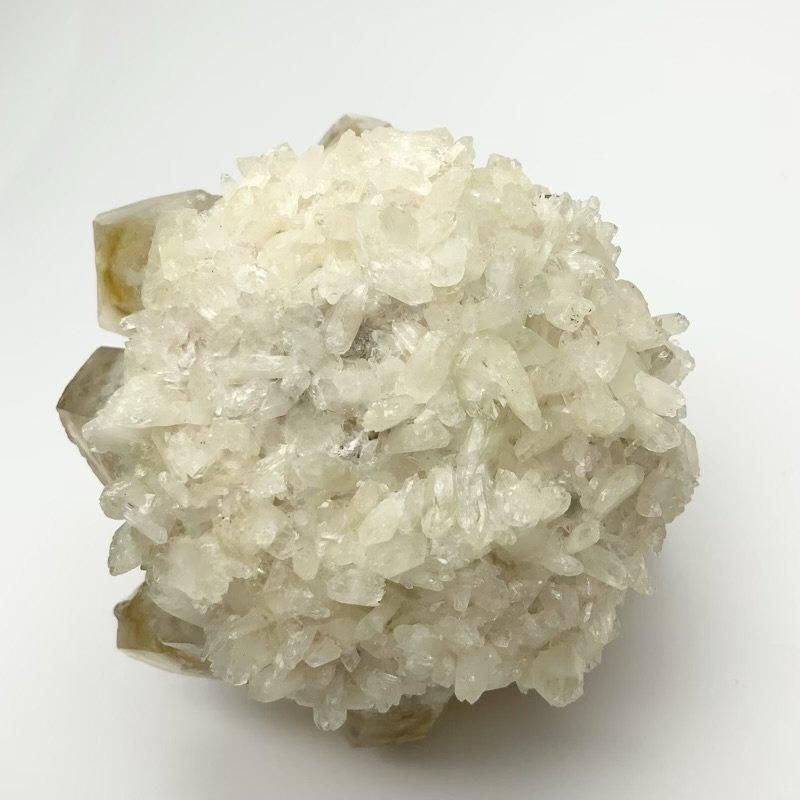 シトリンフラワー 】 黄水晶 Citrine 11月 太陽 金運 繁栄