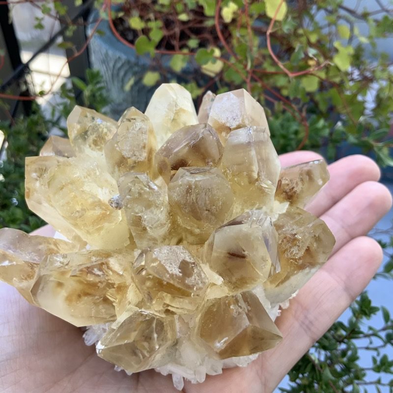 シトリンフラワー 】 黄水晶 Citrine 11月 太陽 金運 繁栄 パワーストーン 天然石 -  めのうの店川島【公式通販】創業明治10年/勾玉や出雲石/碧玉/隠岐の黒曜石/糸魚川翡翠