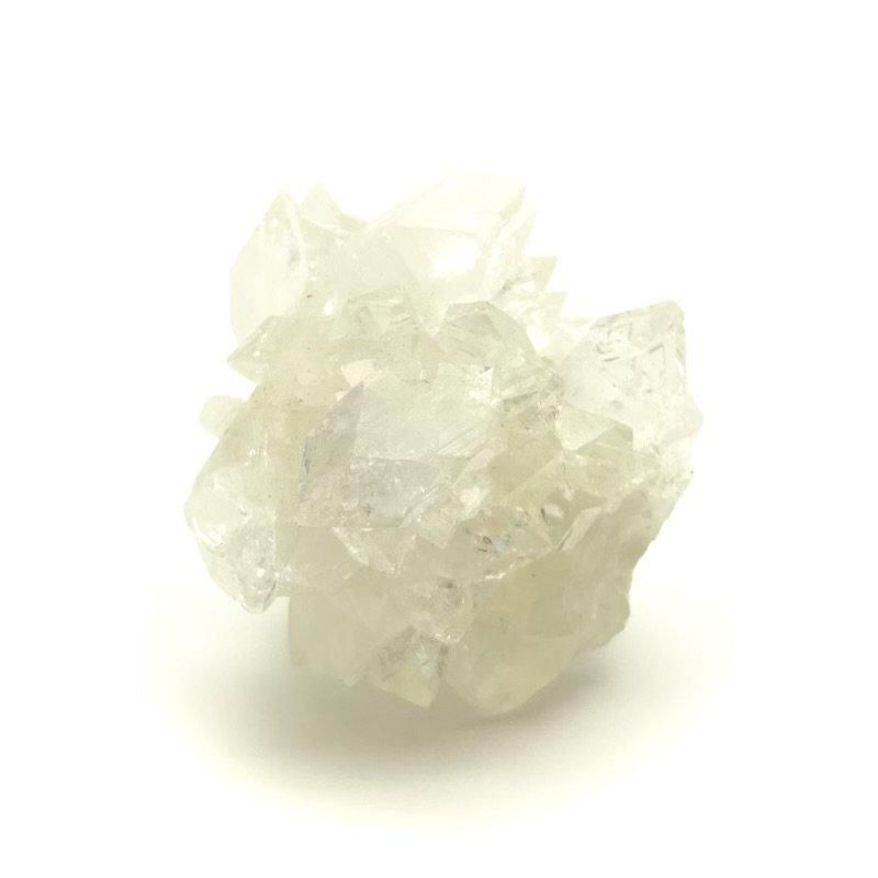  ݥե饤 С   礬󤻤  ξ   ŷ  ԥ奢ƥ ѥȡ