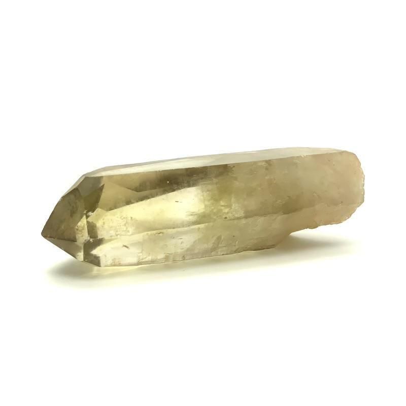  ŷȥ ݥ  徽  Citrine 11  Ɀ ˱ ѥȡ ŷ ҡ󥰥ե