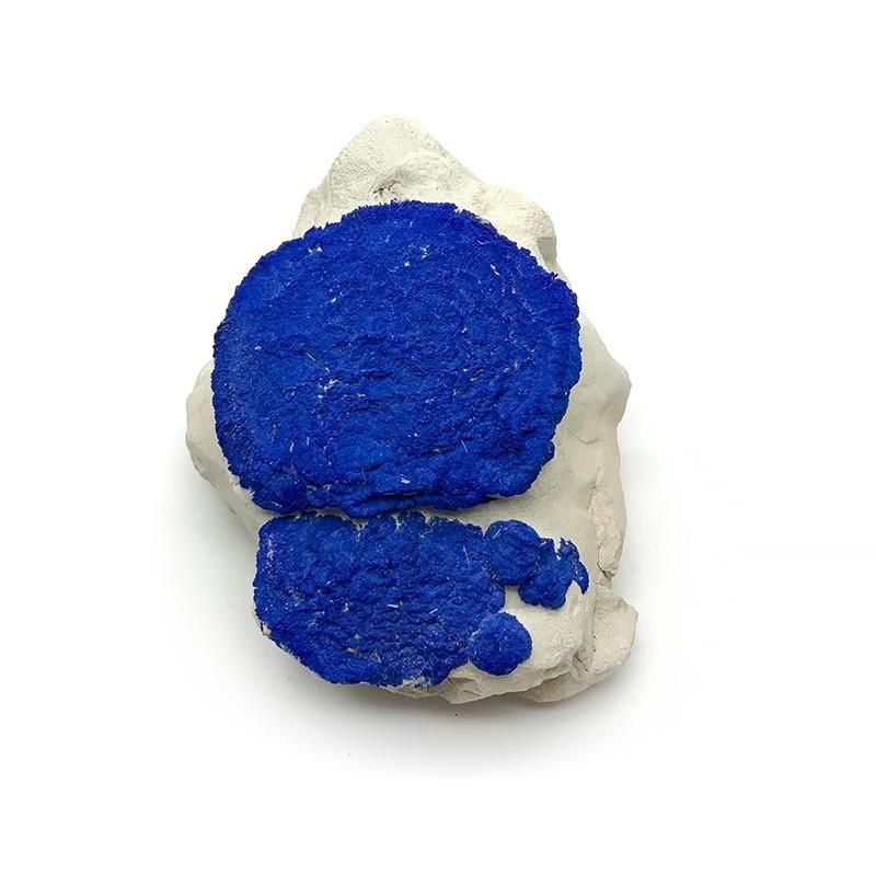  饤ȥСȥꥢ ƼۡAzurite Sun ʪ ݽŪ뾽 ƶ ľ   ŷ ѥȡ