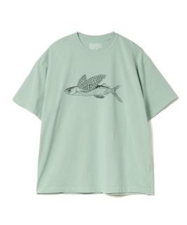 American Cotton 