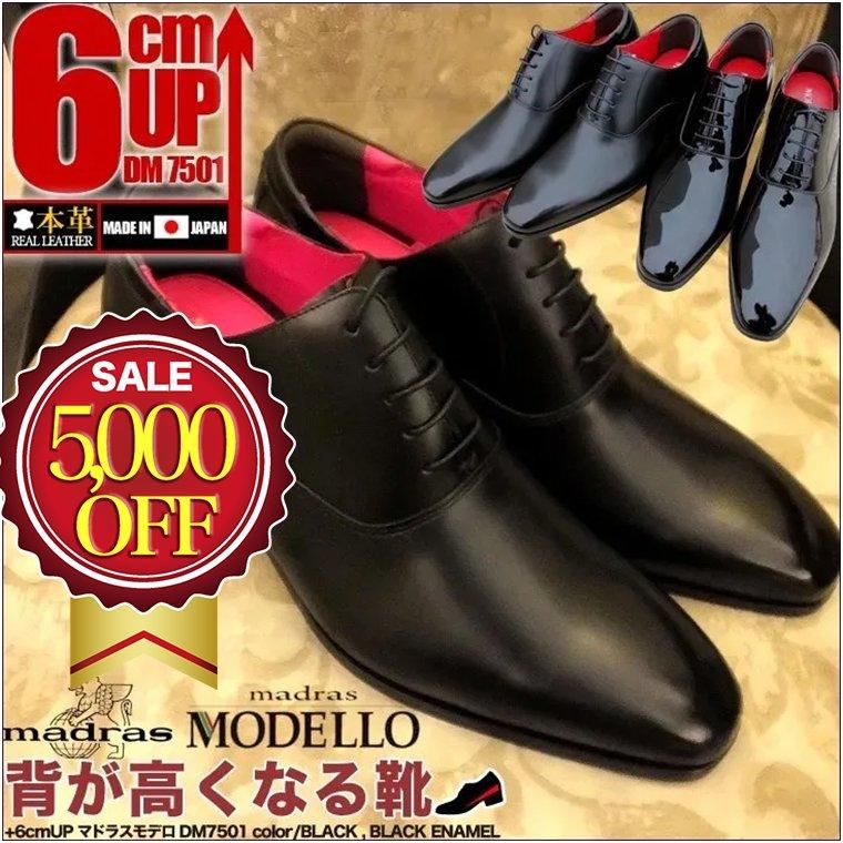  3,000OFF ߸˸¤ꡪۥåȥӥͥ塼 6cmUP ܳ  ޥɥ饹塼  եޥ ǡ modello dm7501 madras