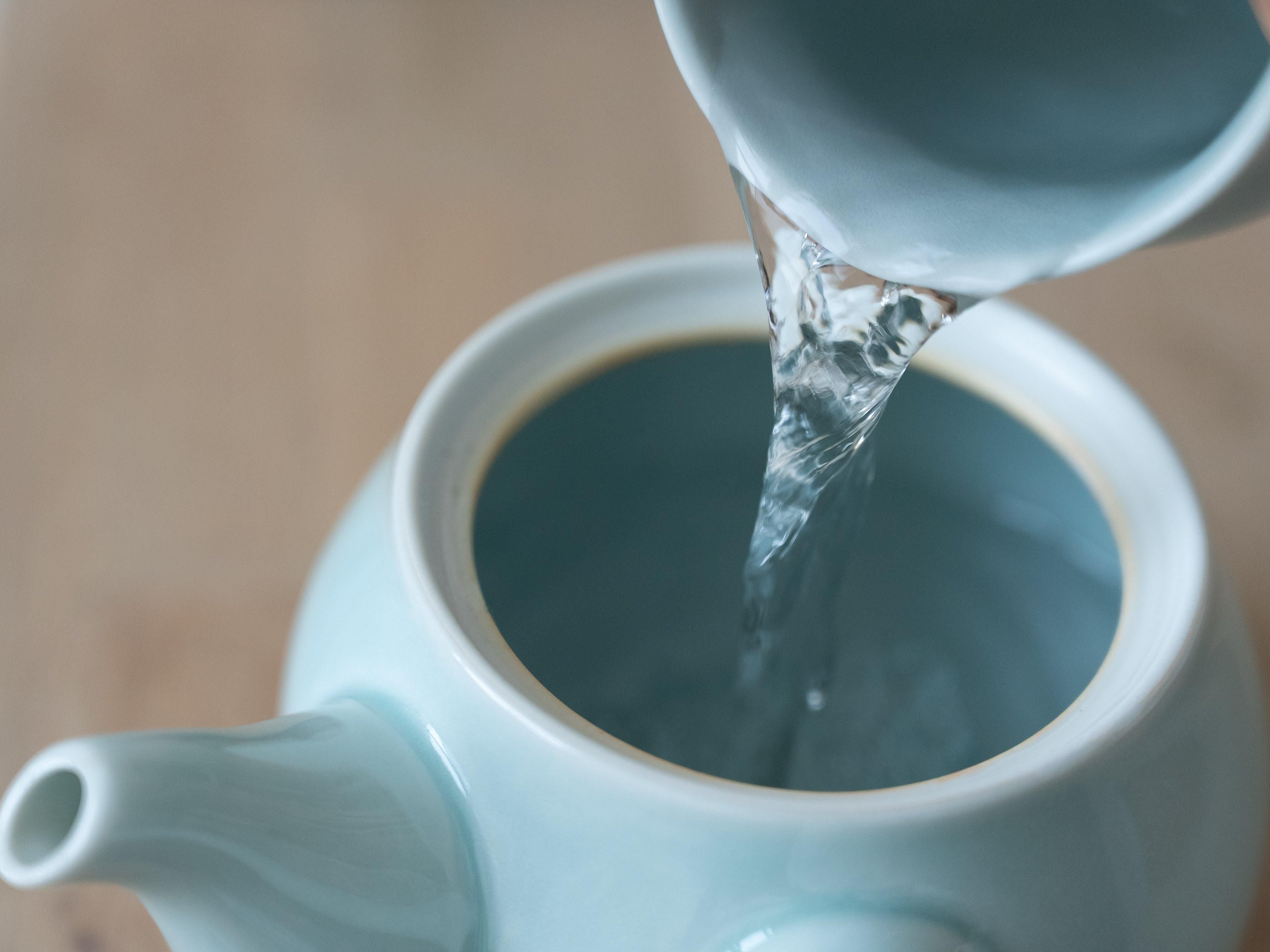 湯呑み使用イメージ