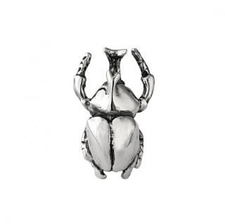 ニホンカブトムシ ピアス | TORQUATA(トルクアータ) - gondoa 公式通販