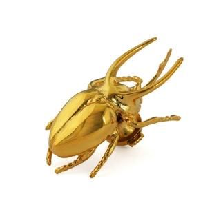 アクセサリーセレクトショップ gondoa 公式通販 | TORQUATA アクセサリーセレクトショップ gondoa 公式通販 | TORQUATA