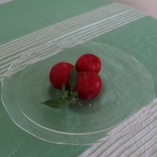 sunny plate  / ȤȾ˻Ź