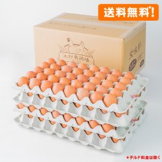栄味卵（160個、送料無料！）Lサイズ