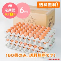 【毎月1日に6ヶ月間お届け】栄味卵（160個、送料無料！）