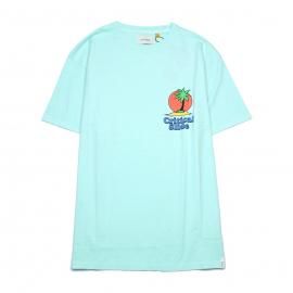 <img class='new_mark_img1' src='https://img.shop-pro.jp/img/new/icons7.gif' style='border:none;display:inline;margin:0px;padding:0px;width:auto;' />CASTAWAY TEE (STANDARD FIT) / Critical Slide(ƥ륹饤)
