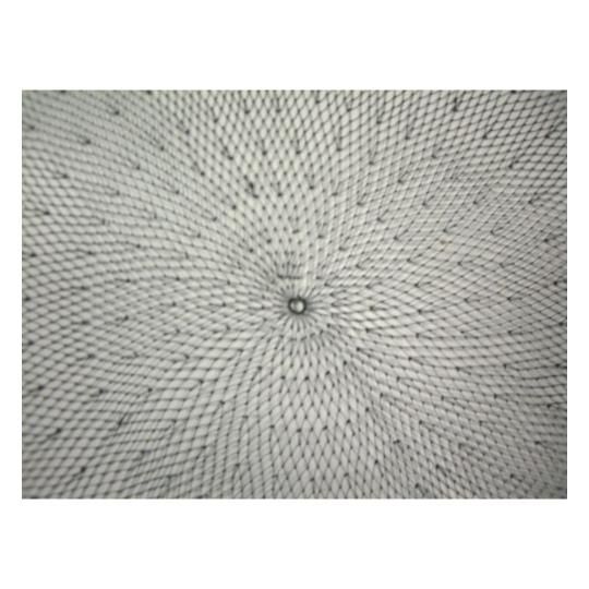 アマゴ　渓流　タモ工房 チタン受けタモ　ハンドメイド新品未使用 アマゴ 渓流 タモ工房 チタン受けタモ ハンドメイド新品未使用