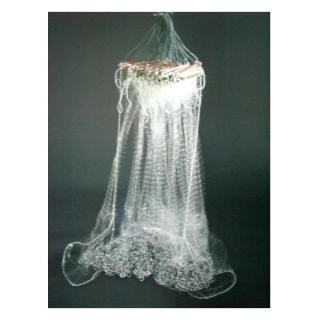鮎20cm～24cm程度 - 投網・巻網などの漁具専門オンラインストア