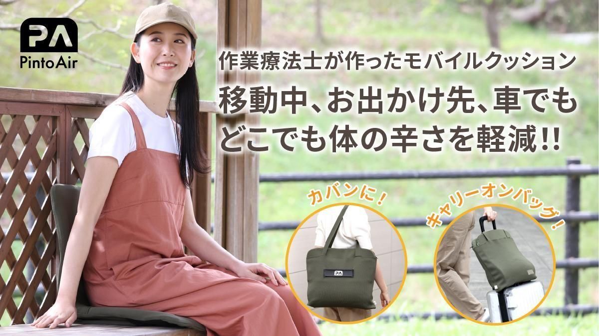 未使用】Pinto air 野村寿子開発 姿勢サポートクッション ピント