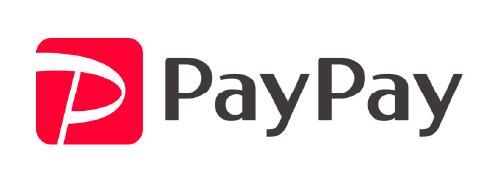 pay pay