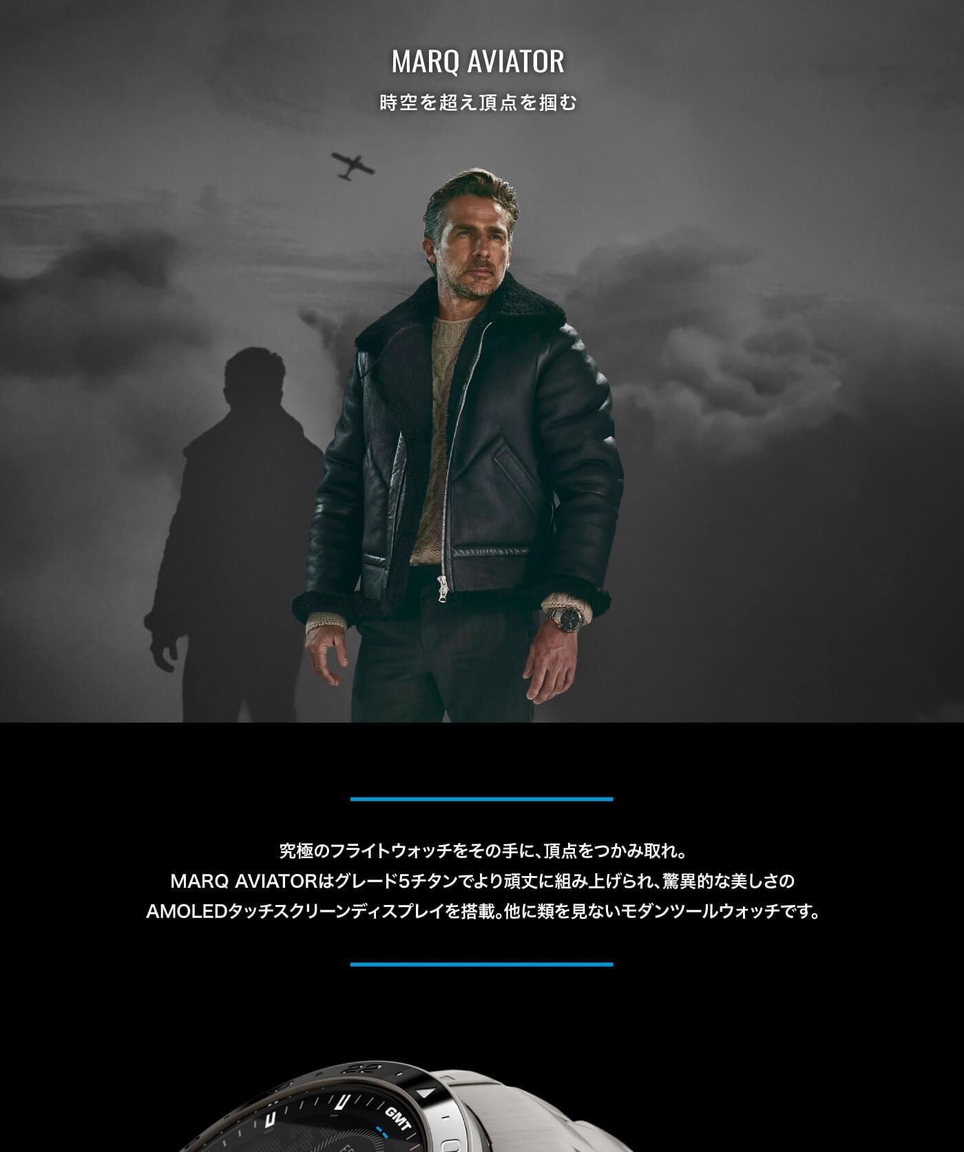 010-02648-A2のLP画像