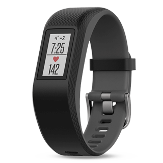 010-01789-72 GARMIN ガーミン vivosmart スレイト バンドLサイズ