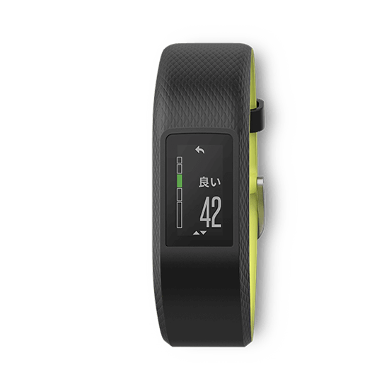 010-01789-73 GARMIN ガーミン vivosmart ライムライト バンドLサイズ