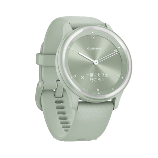 010-02566-43 GARMIN ガーミン vivomove スポーツ シルバー / クールミント