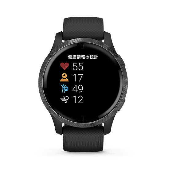 010-02173-17 GARMIN ガーミン ヴェニュー ブラック / スレイト