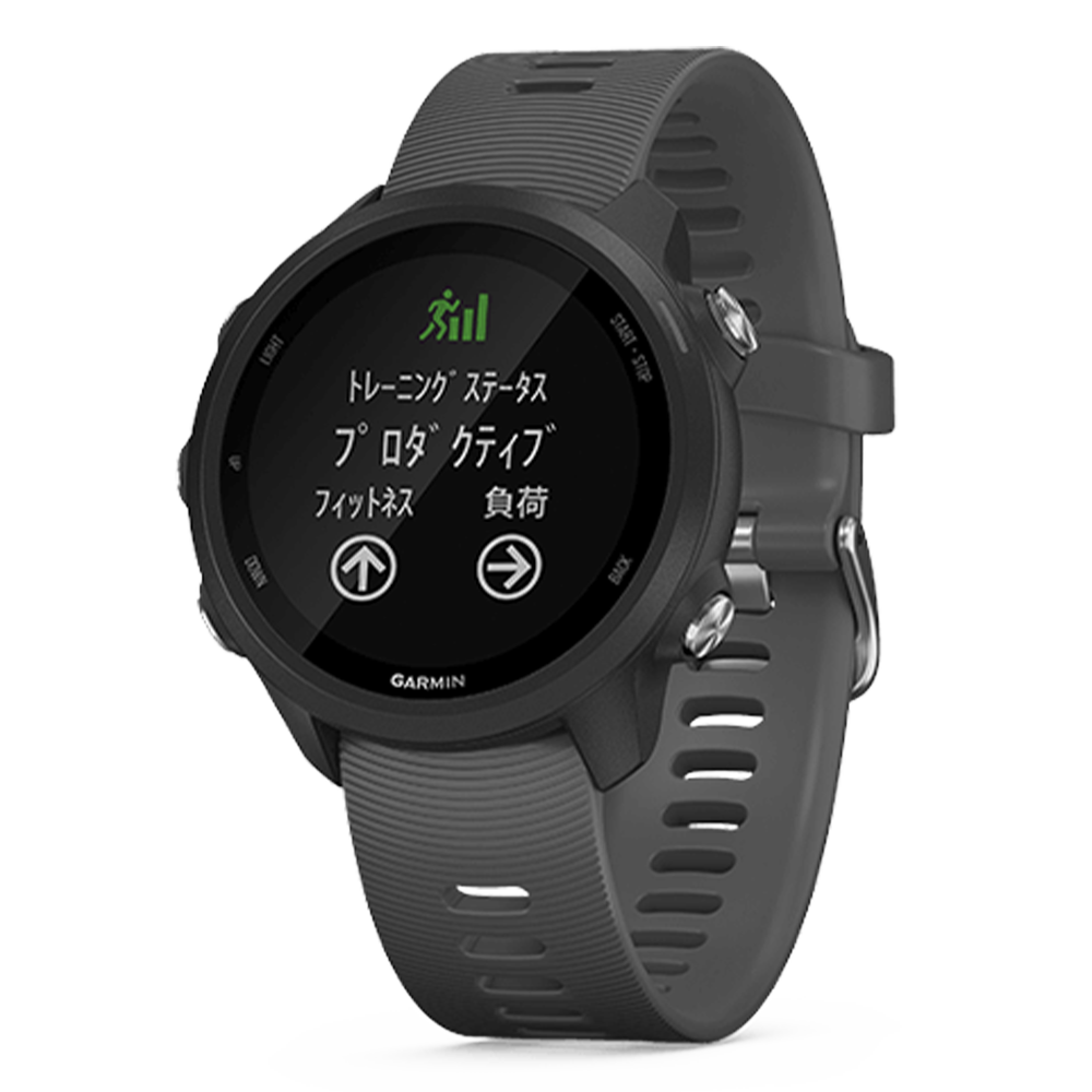 010-02120-42 GARMIN ガーミン フォアアスリート 245 ブラック スレイト