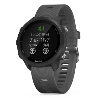010-02120-42 GARMIN ガーミン フォアアスリート 245 ブラック スレイト
