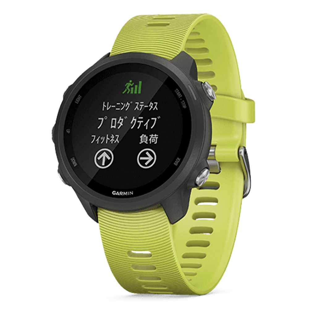 010-02120-48 GARMIN ガーミン フォアアスリート 245 アンプ イエロー