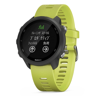 010-02120-48 GARMIN ガーミン フォアアスリート 245 アンプ イエロー