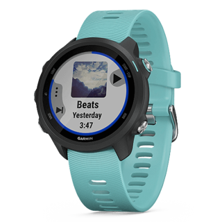 010-02120-72 GARMIN ガーミン フォアアスリート 245 ミュージック ブラック アクア