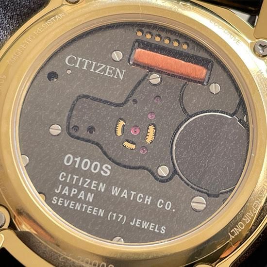  【世界限定50本】 AQ6032-03P The CITIZEN ザ・シチズン 特定店限定モデル