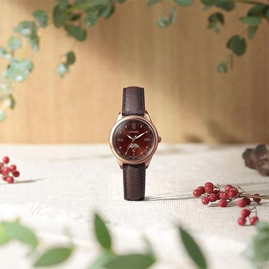 EE1002-01W CITIZEN シチズン クロスシー daichi collection