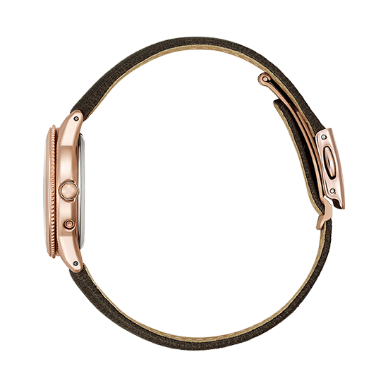 EE1002-01W CITIZEN シチズン クロスシー daichi collection