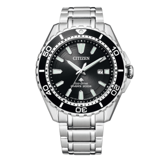 BN0190-82E CITIZEN シチズン プロマスター MARINE