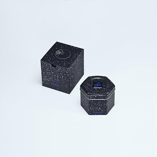 CASIO カシオ G-SHOCK 110 シリーズ GM-110EARTH-1AJR