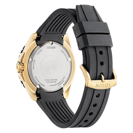 BN0196-01L CITIZEN シチズン プロマスター MARINE