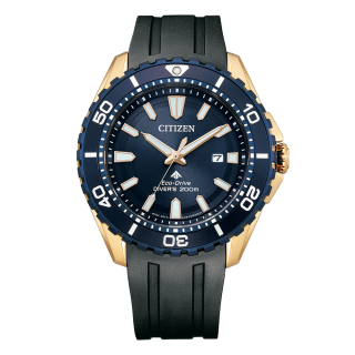 BN0196-01L CITIZEN  ץޥ MARINE